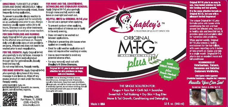MTG Plus