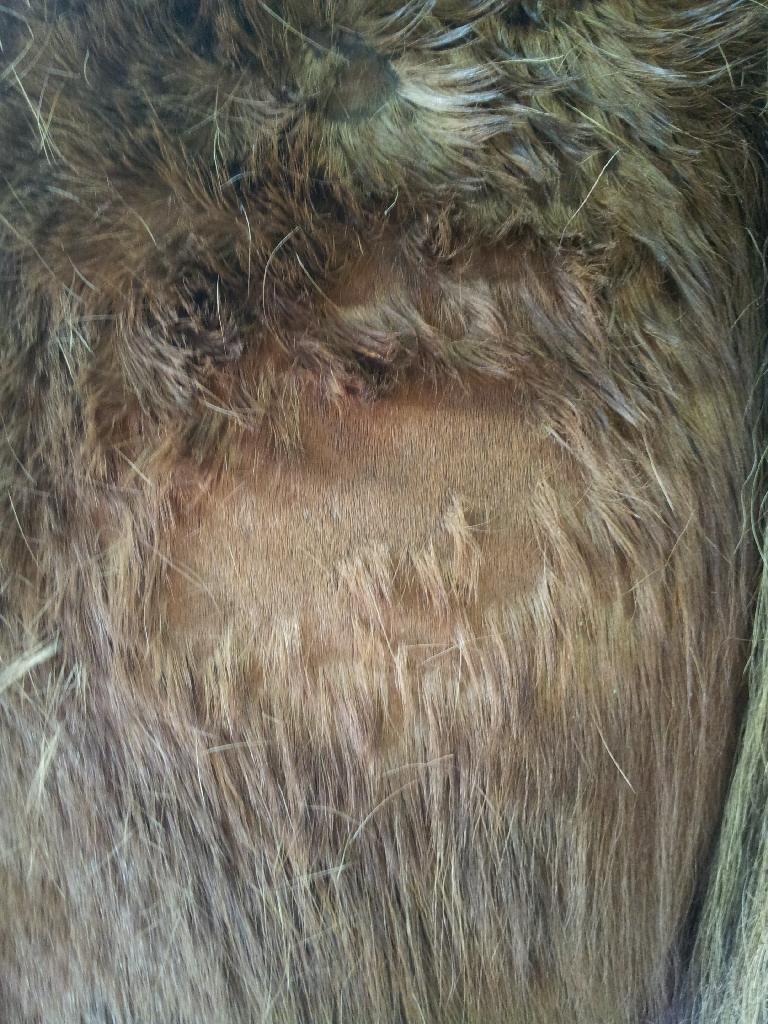 hljómur reynslusögur