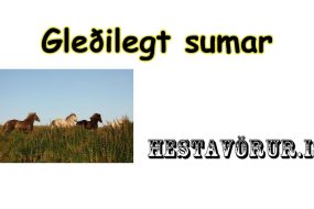 Gleðilegt sumar