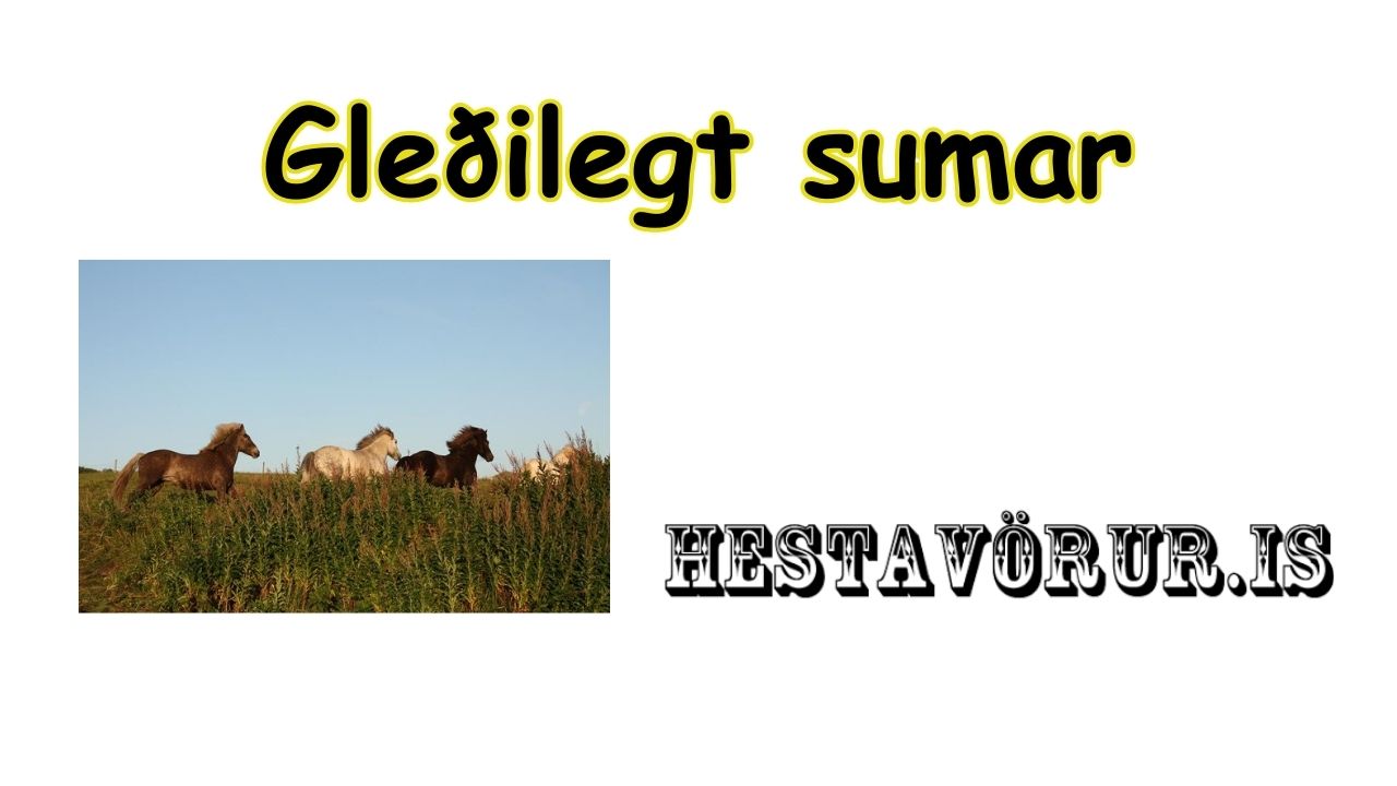 Gleðilegt sumar