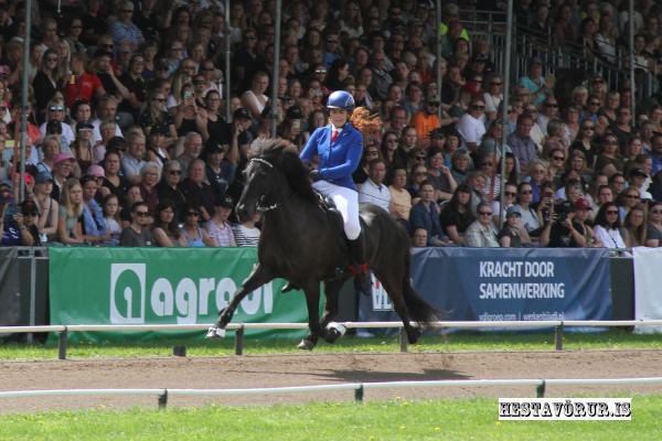 11 gull til Íslendinga á HM