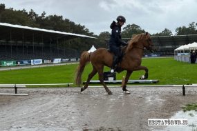 Úrhelli í Oirschot