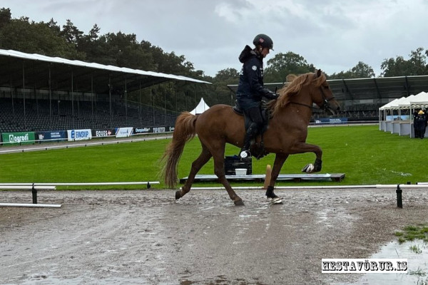 Úrhelli í Oirschot