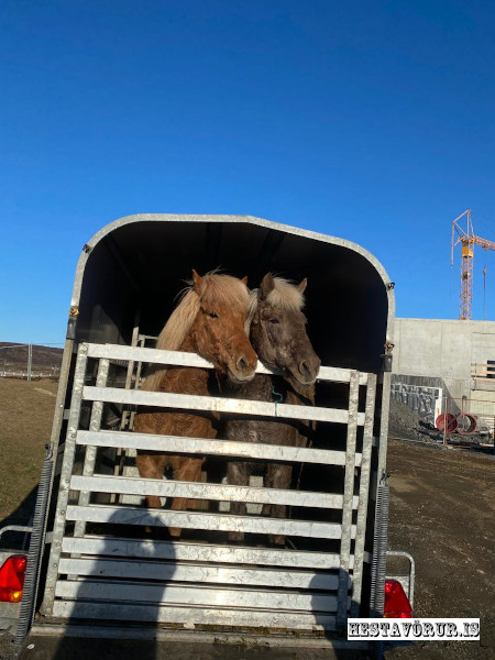 Kvennareið föstudaginn 26. Apríl 2024