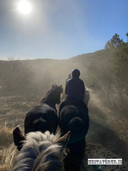 Kvennareið föstudaginn 26. Apríl 2024