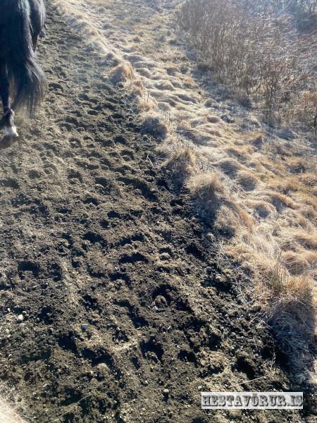 Kvennareið föstudaginn 26. Apríl 2024