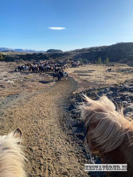 Kvennareið föstudaginn 26. Apríl 2024