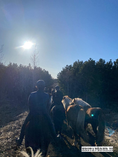 Kvennareið föstudaginn 26. Apríl 2024