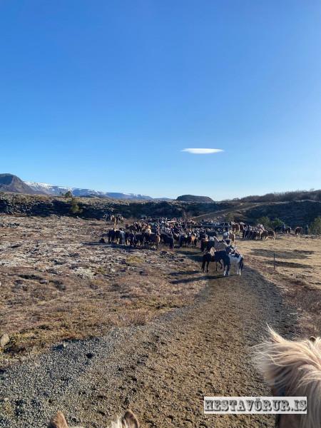 Kvennareið föstudaginn 26. Apríl 2024