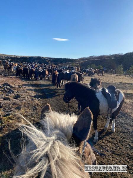 Kvennareið föstudaginn 26. Apríl 2024