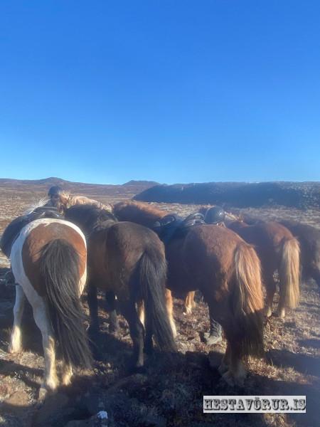 Kvennareið föstudaginn 26. Apríl 2024