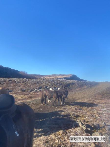 Kvennareið föstudaginn 26. Apríl 2024