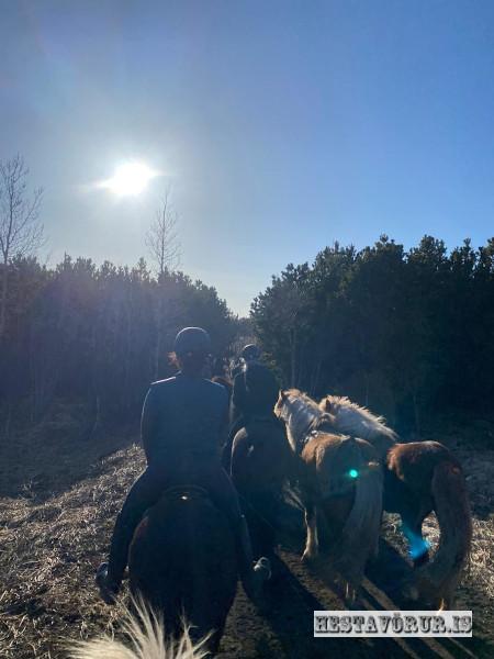 Kvennareið föstudaginn 26. Apríl 2024