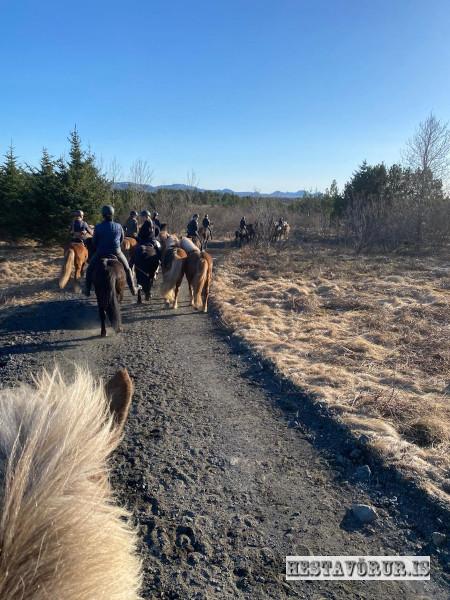 Kvennareið föstudaginn 26. Apríl 2024