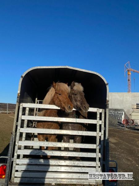 Kvennareið föstudaginn 26. Apríl 2024