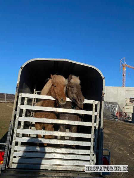 Kvennareið föstudaginn 26. Apríl 2024