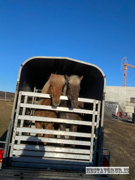 Kvennareið föstudaginn 26. Apríl 2024