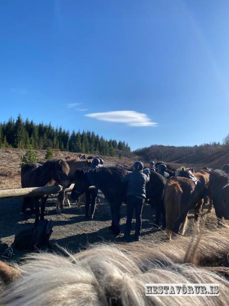 Kvennareið föstudaginn 26. Apríl 2024
