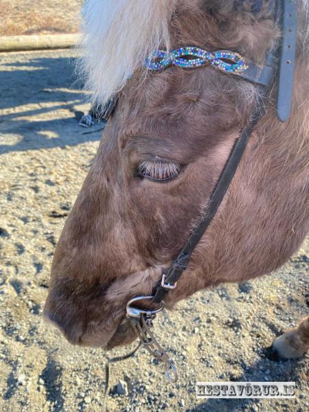 Kvennareið föstudaginn 26. Apríl 2024