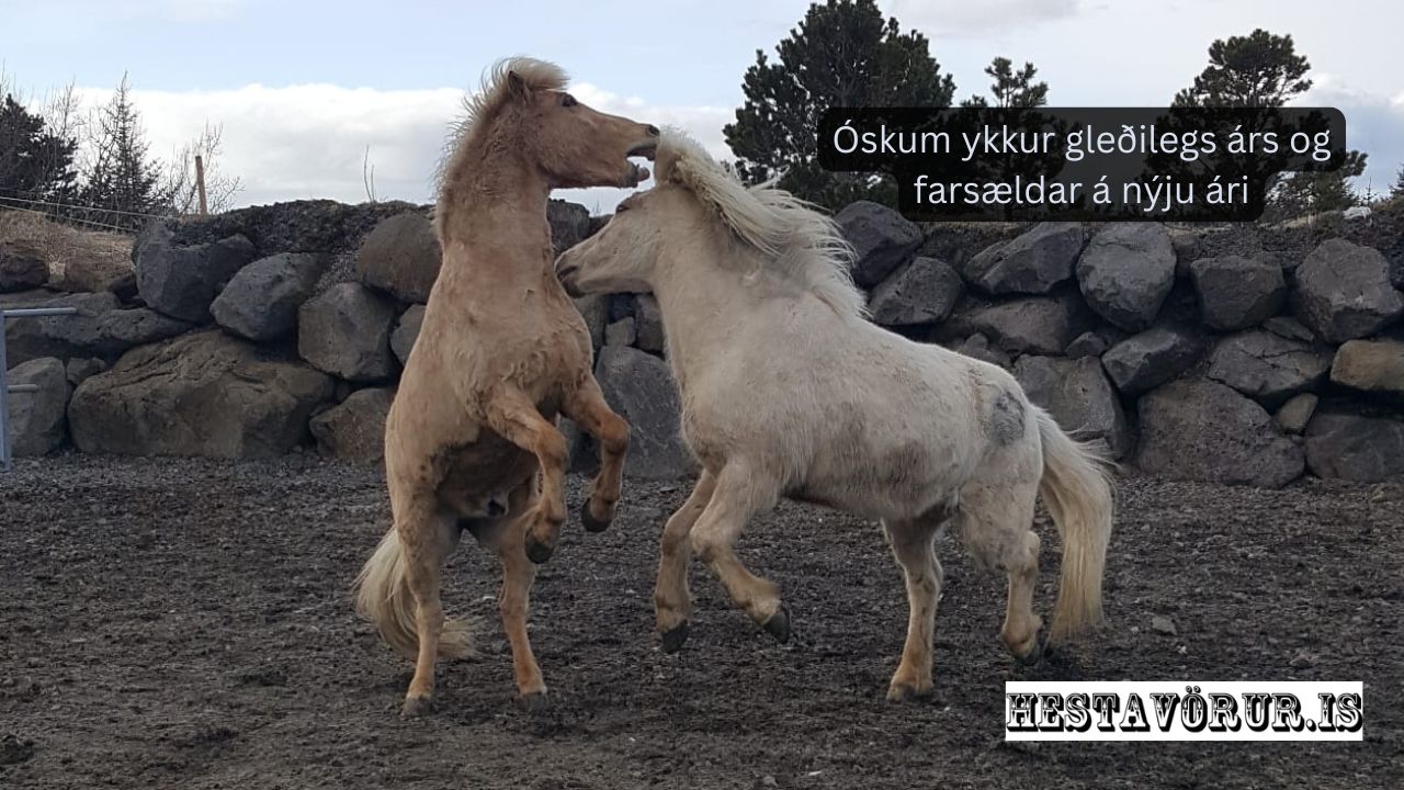 Áramótakveðja 2025